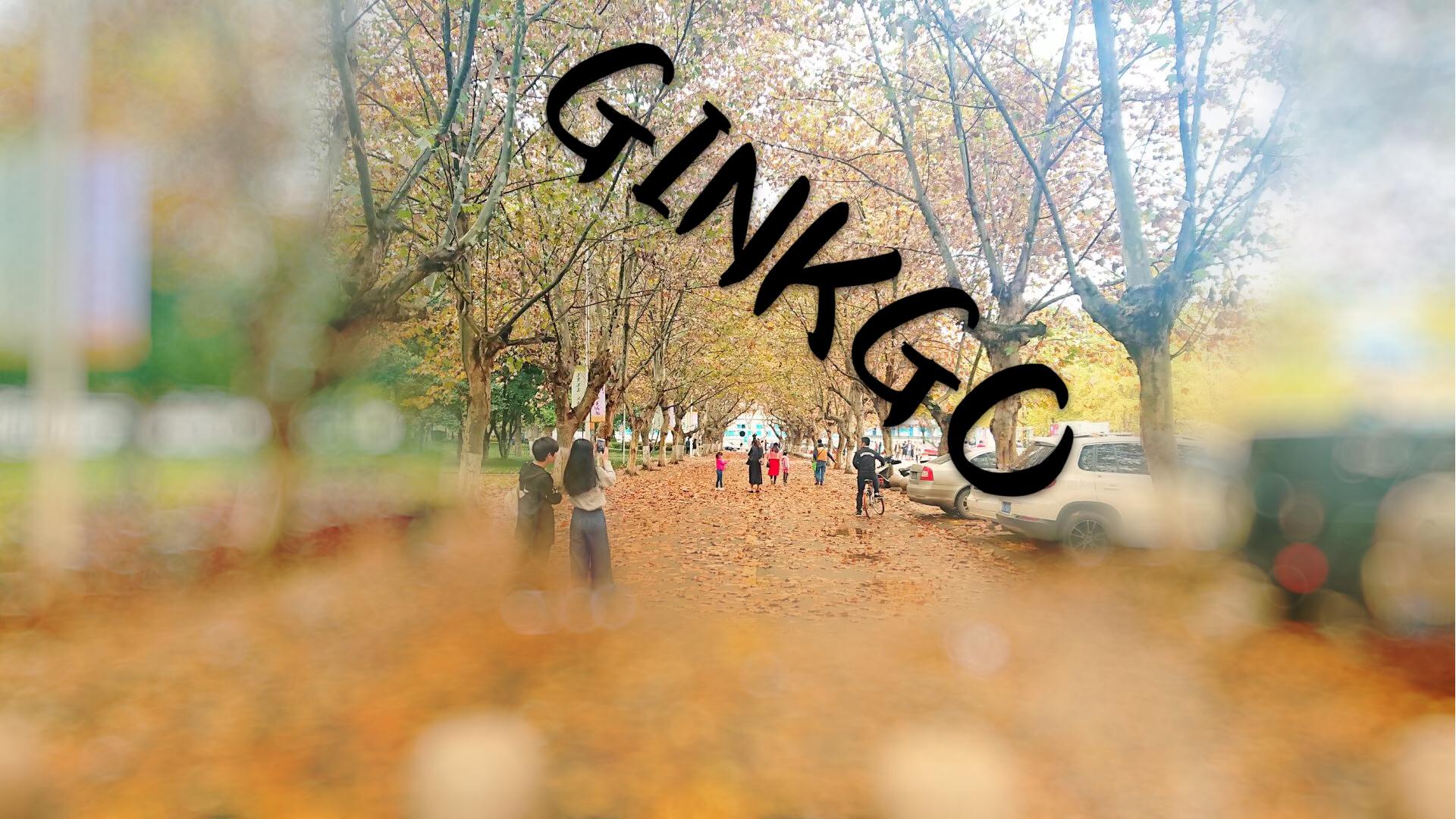 GINKGO专辑