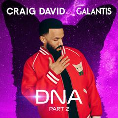 Craig David,Galantis《DNA (Part 2)吉他谱》E调_完美的音乐细节