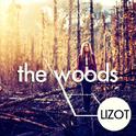 The Woods (LIZOT Edit)专辑