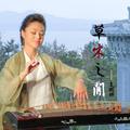 草木之间-王妮娜