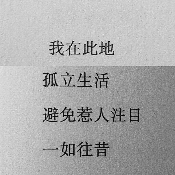 流川枫与苍井空