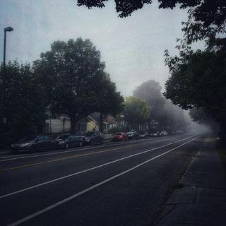 就让我在春风沉醉的夜晚老去