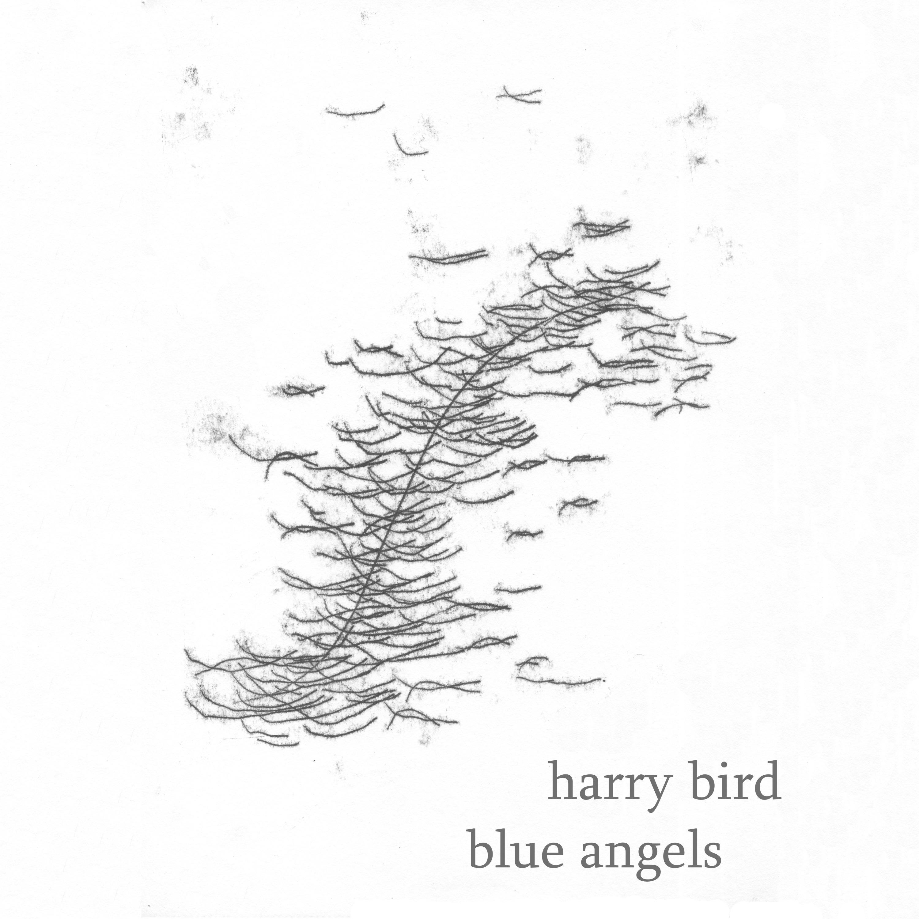 Blue Angels