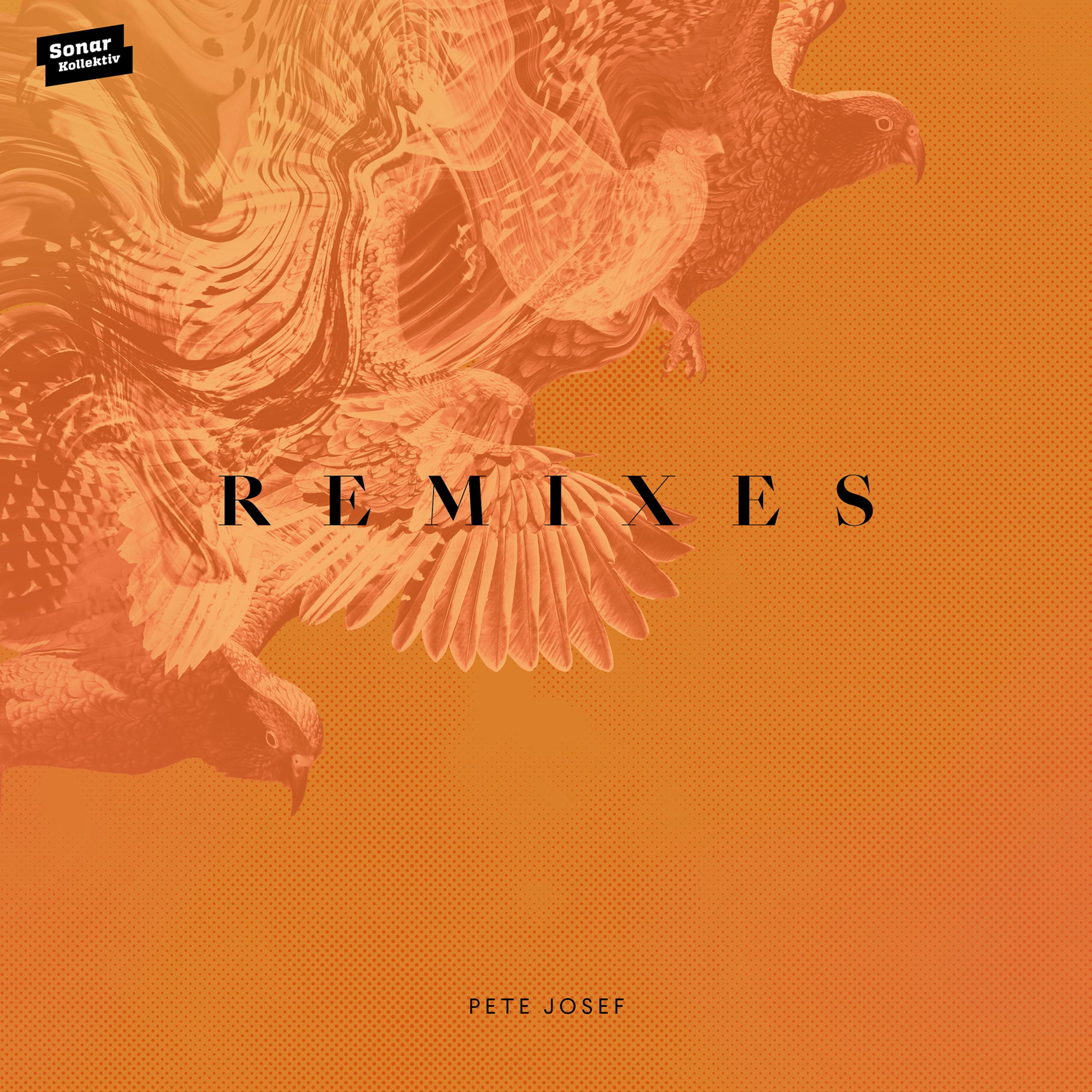 Remixes