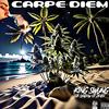 King Swung - CARPE DIEM