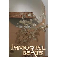 胡伟立-忆情（补传）（蛋挞Ta / Immortal Beats remix）