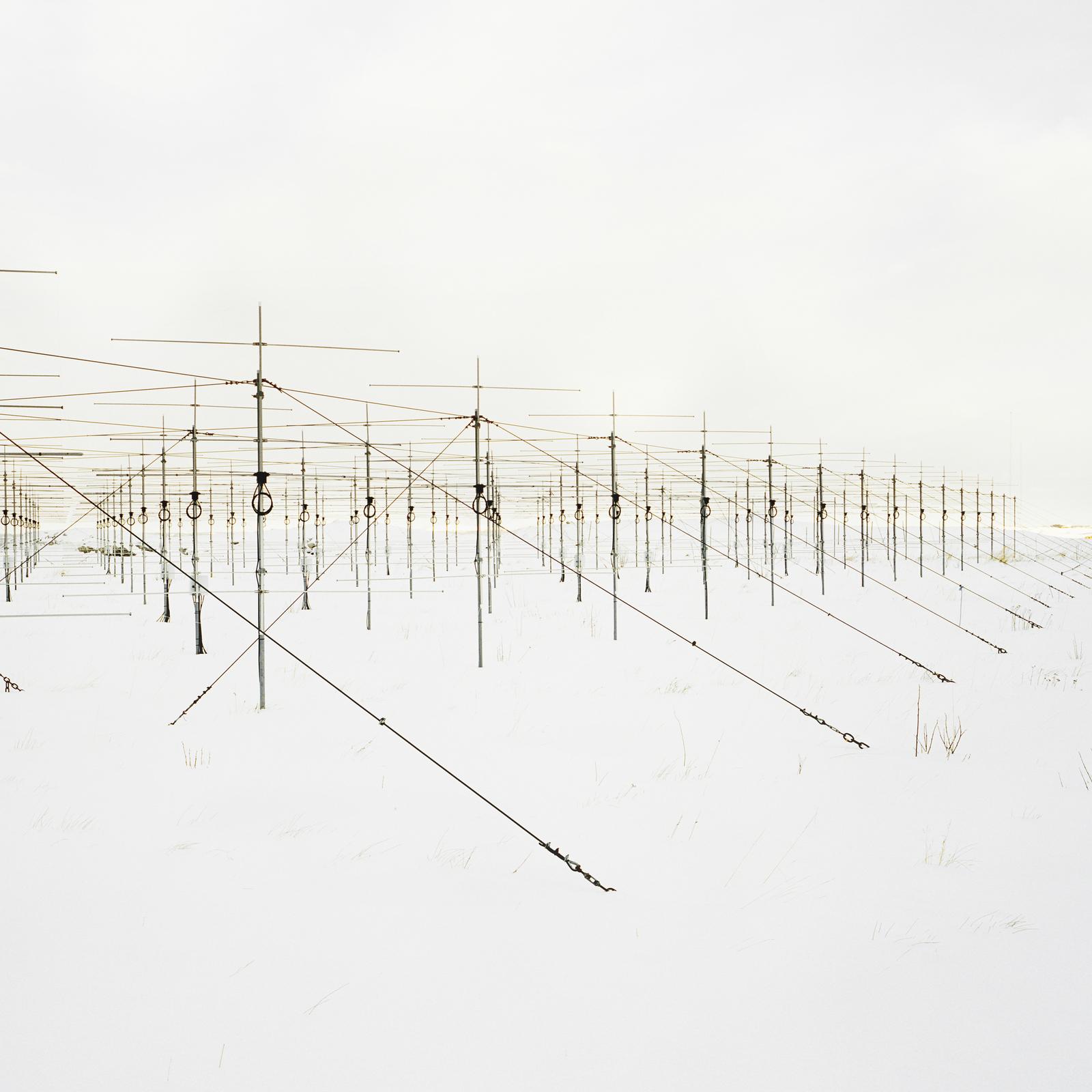 Arne - Dom Mino' Rework