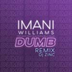 Dumb (DJ Zinc Remix)专辑