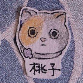 四猫合桃子自习室