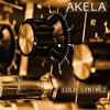 Akela - Park December (Original Mix)