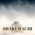 Shakuhachi Surprise - Vibrant Asian Instrumental Songs