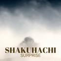 Shakuhachi Surprise - Vibrant Asian Instrumental Songs专辑