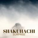 Shakuhachi Surprise - Vibrant Asian Instrumental Songs专辑