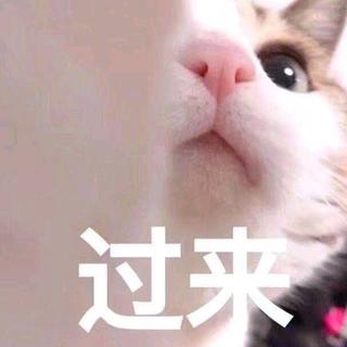 宝藏回甜表白 Hiphop