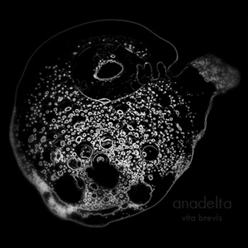 vita brevis (free download)
