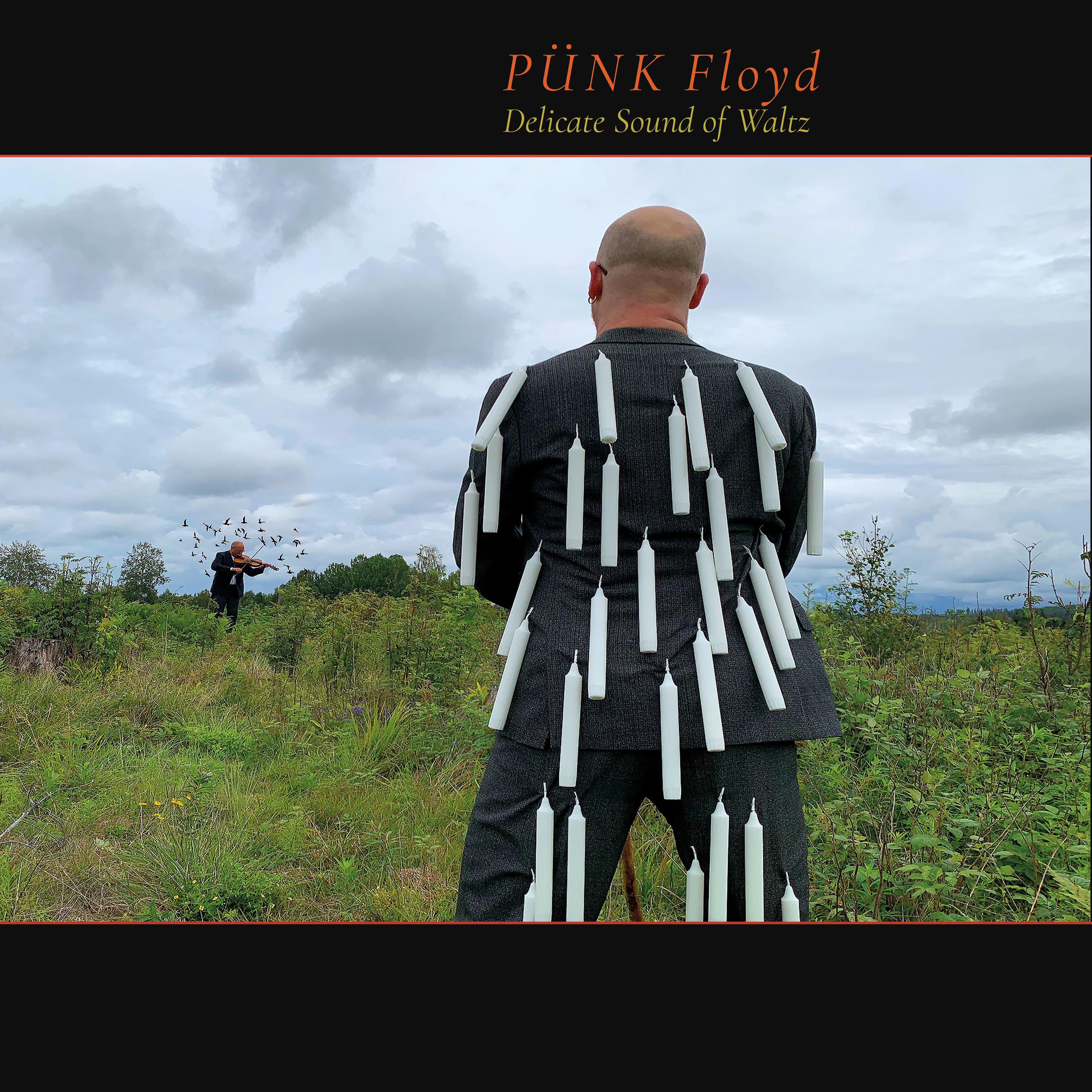 Punk Floyd - A New Machine, Pts. 1 & 2