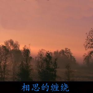 杭娇 - 我有什么不好 (伴奏).mp3 （降5半音）