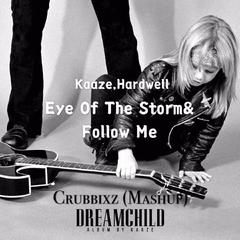 Eye Of The Storm&Follow Me (Crubbixz Mashup)