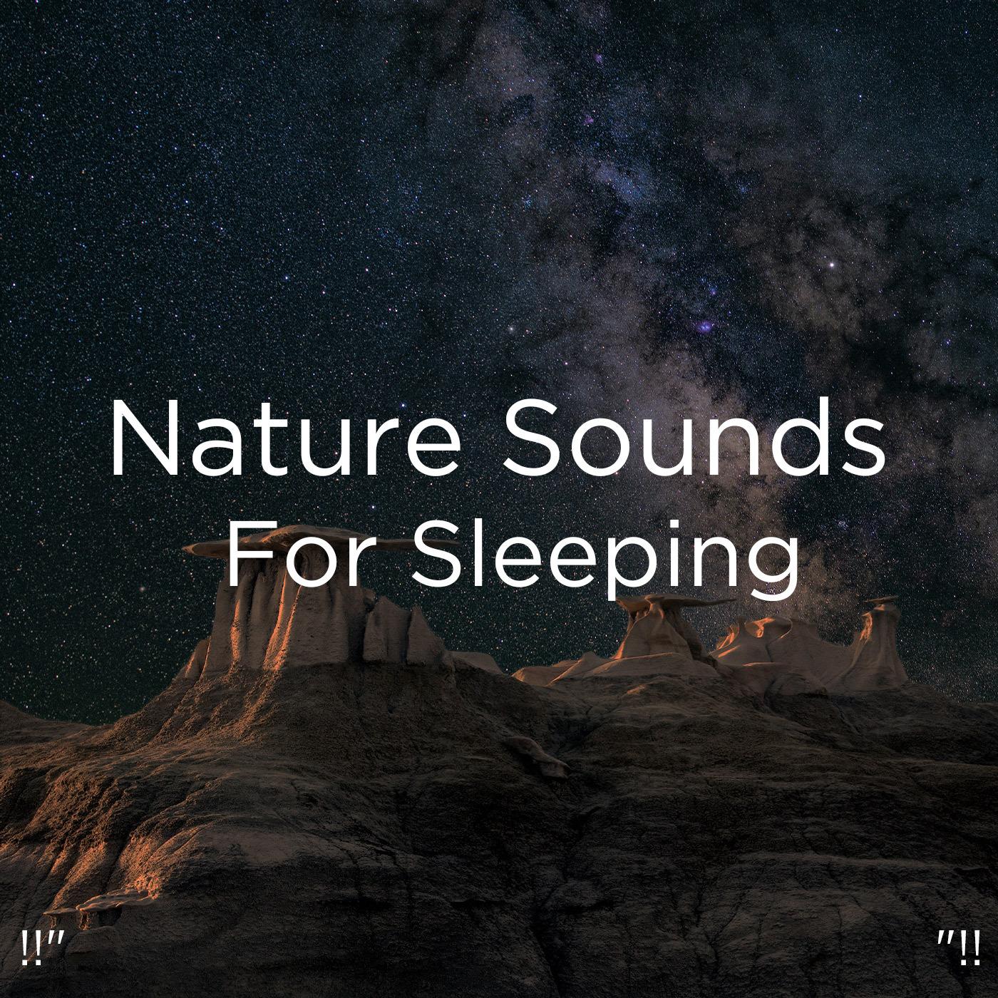 !!" Nature Sounds For Sleeping "!!