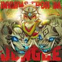 INVAIDAS FROM DA JUNGLE专辑