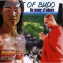 Spirit of Budo专辑