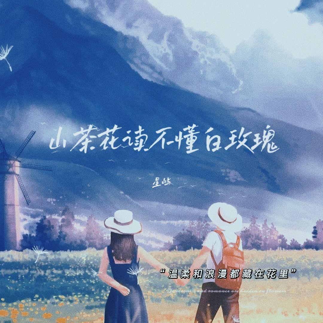 山茶花读不懂白玫瑰