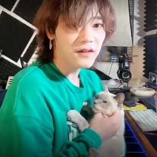 太一2.23直播bgm