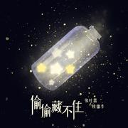 偷偷藏不住（非官方小说发烧友追星歌曲） 伴奏