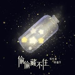 偷偷藏不住（非官方小说发烧友追星歌曲） 伴奏