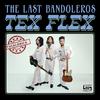 The Last Bandoleros - And I Love Her