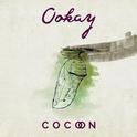 Cocoon专辑