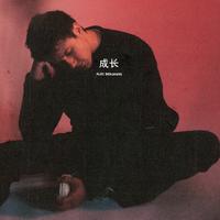 Alec Benjamin - 成长