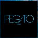 Disarm You (Pegato Remix)专辑