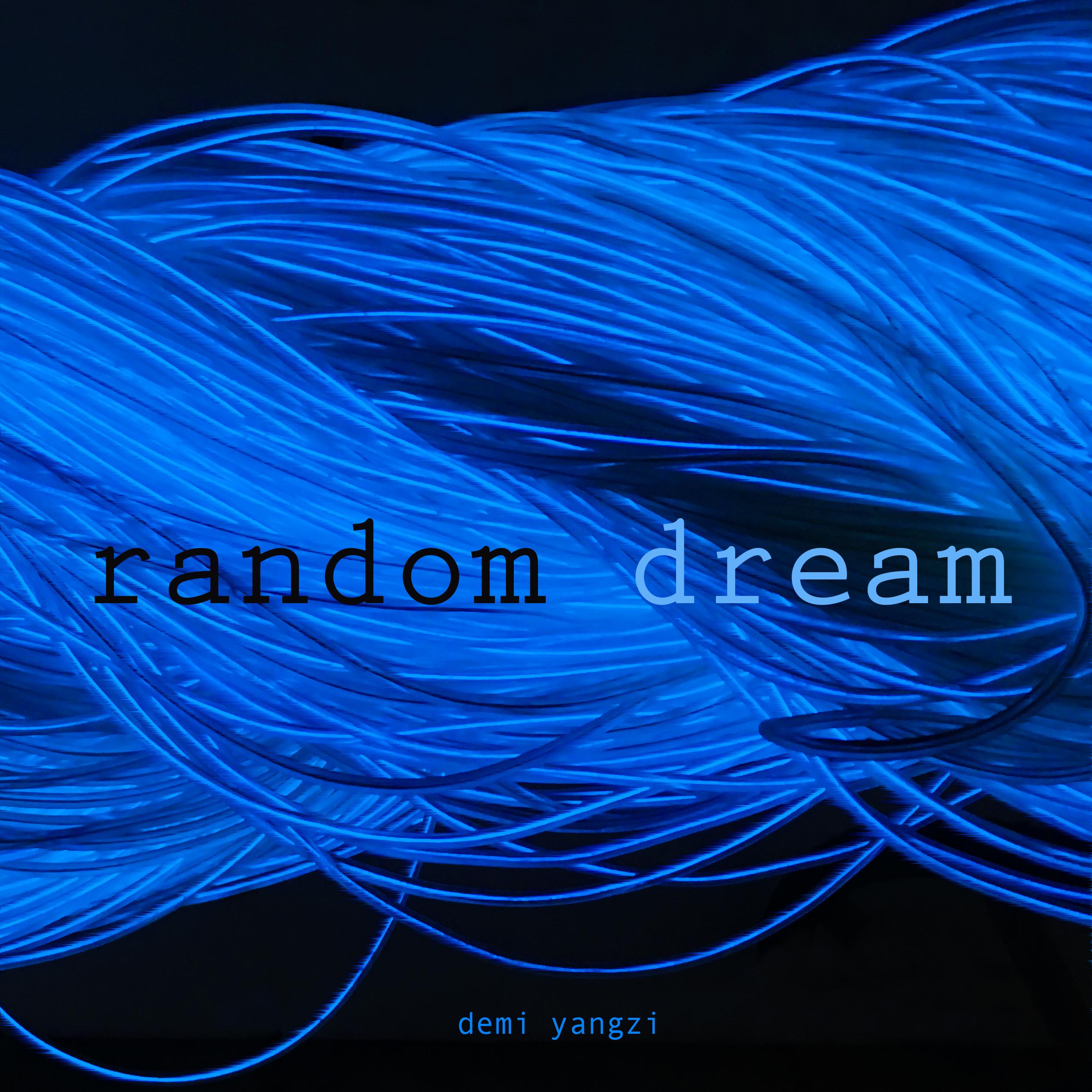 random dream专辑