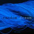random dream