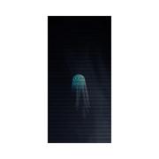 Ghost In My Mind