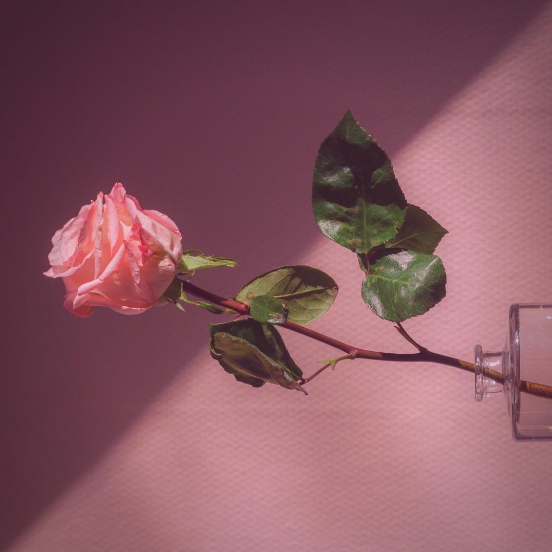 ▧