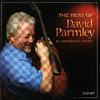 David Parmley - Cast The First Stone