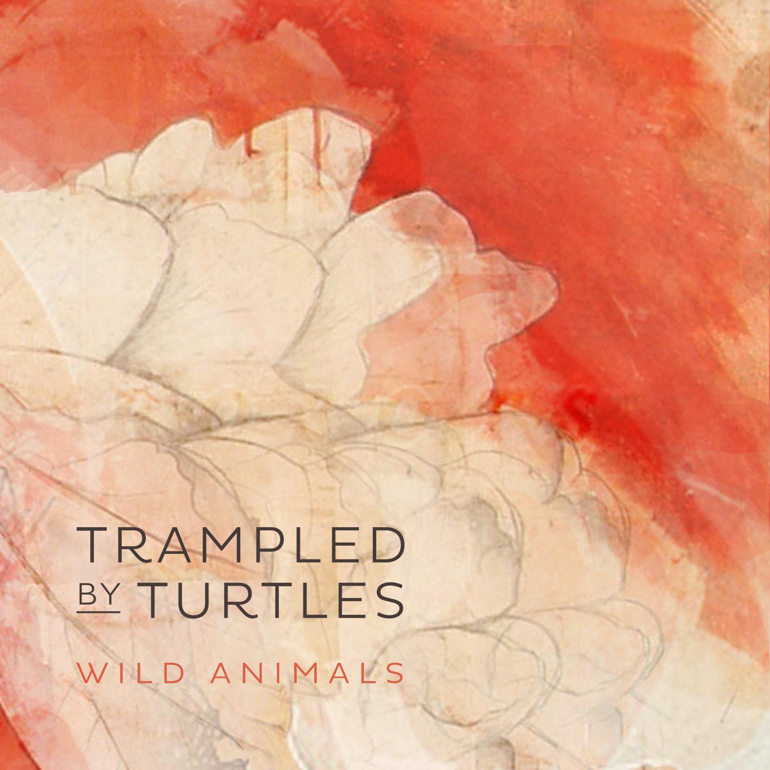 Wild Animals