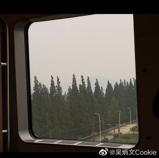 Cookie 饼干真香