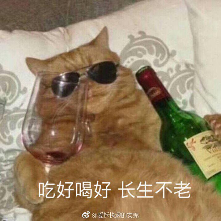 【深圳838】 经典劲爆舞曲
