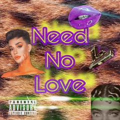 NEED NO LOVE (Prod.Thai beats)