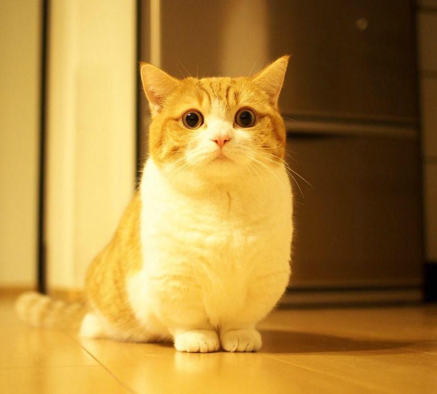 歌手:安生 所属专辑:往后余生 播放 收藏 分享 下