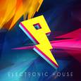 Electronic House