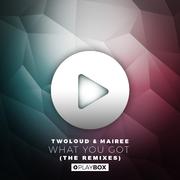 What You Got (The Remixes)