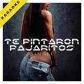 Te Pintaron Pajaritos (Karaoke Version) - Single