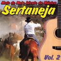 Mais de Meio Século da Música Sertaneja, Vol 2专辑