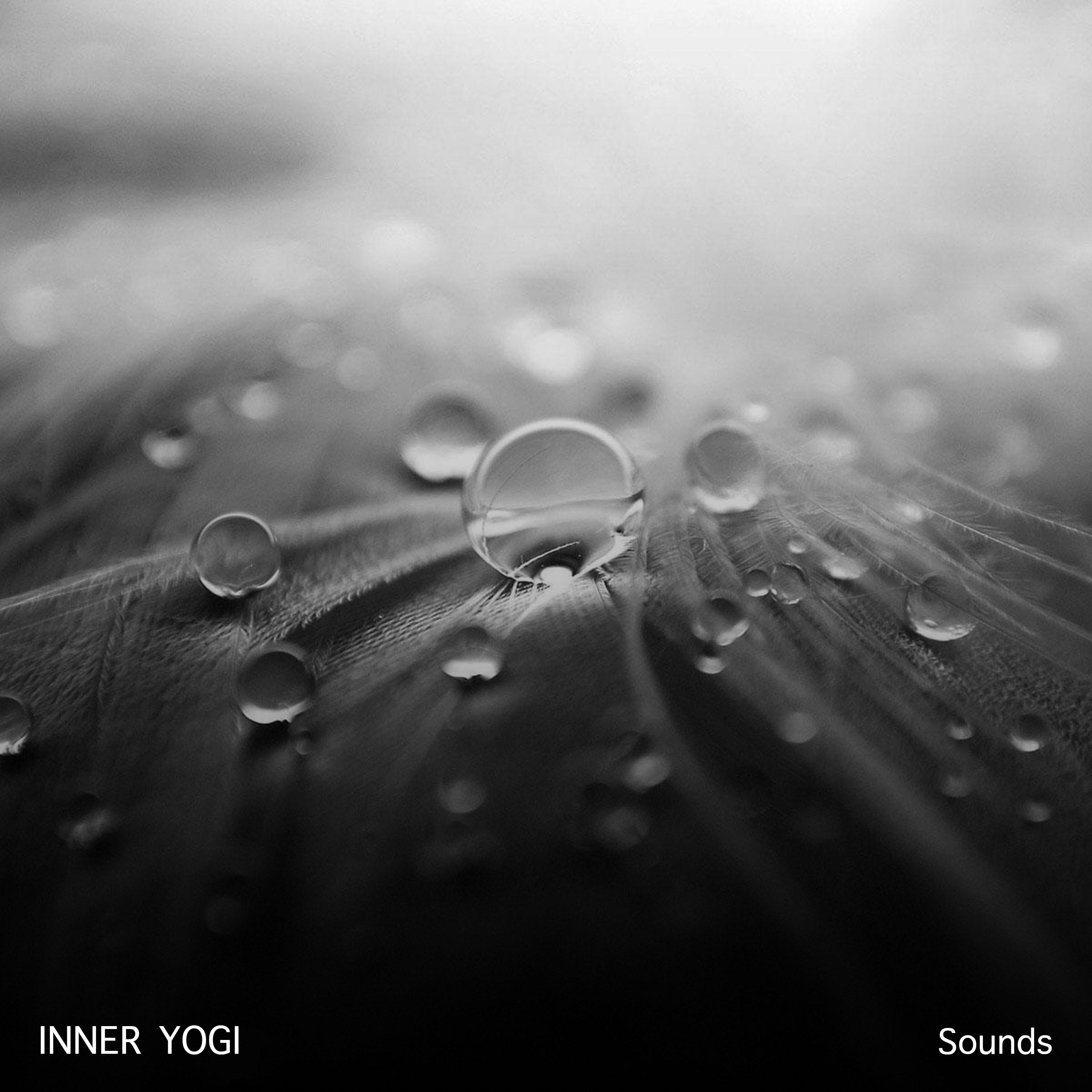 12 Inner Yogi Sounds专辑