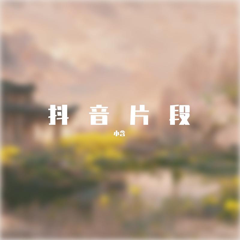 抖音片段专辑