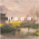 抖音片段专辑